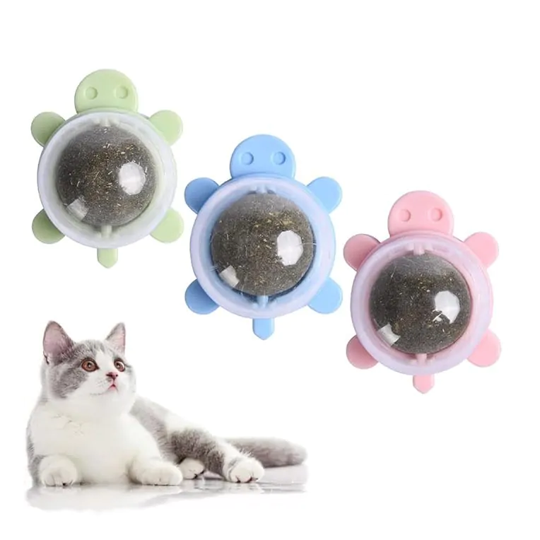 مدل-لاکپشت-کت-نیپ